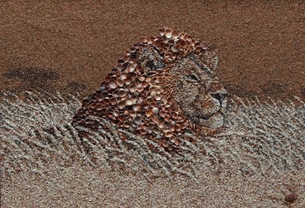 Amazing-Mosaics-Made-from-Sand-and-Seashells_1-l mosaïque sable et coquillage - lion