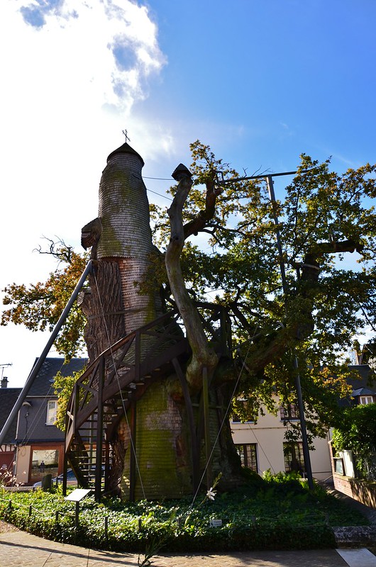 8 Arbres insolites chene chapelle 1 chene-chapelle-1