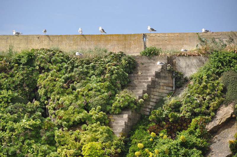 Ces escaliers qui ne mènent nulle part escalier vide 1 escalier-vide