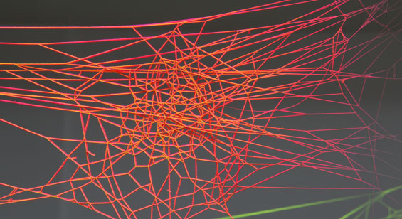 Des toiles d'araignées colorées toiles araignees 2 toiles-d'araignées-2