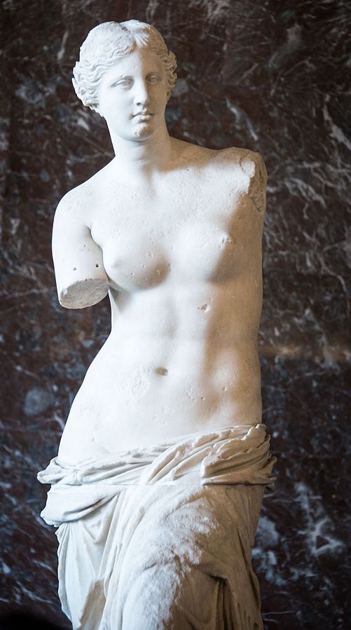 Une étagère Venus de Milo venus de milo venus-de-milo