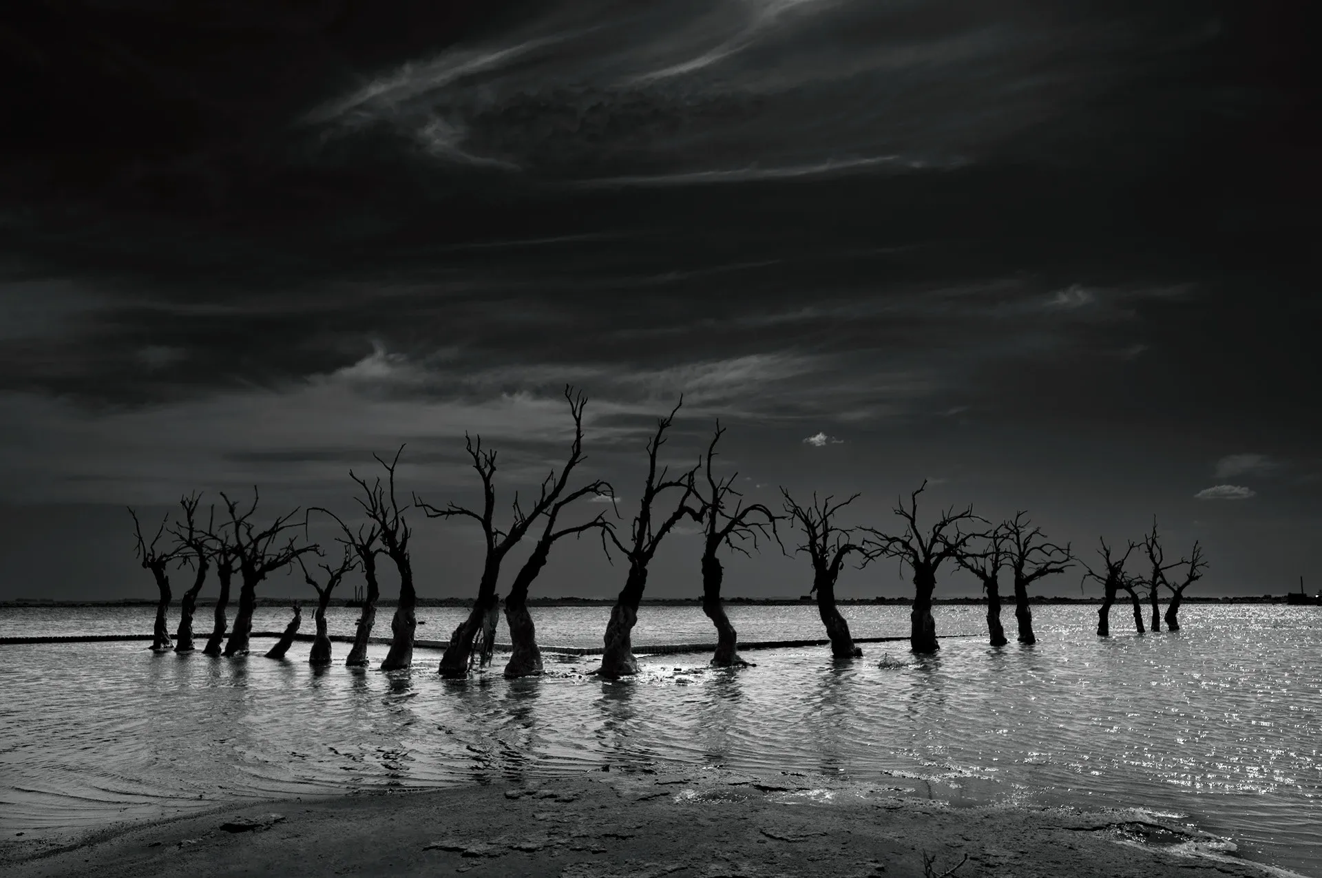 Villa Epecuén : la ville fantôme d’Argentine engloutie pendant 25 ans Villa Epecuen en noir et blanc par oystein Sture Aspelund 2 Villa-Epecuen-en-noir-et-blanc-par-oystein-Sture-Aspelund-1