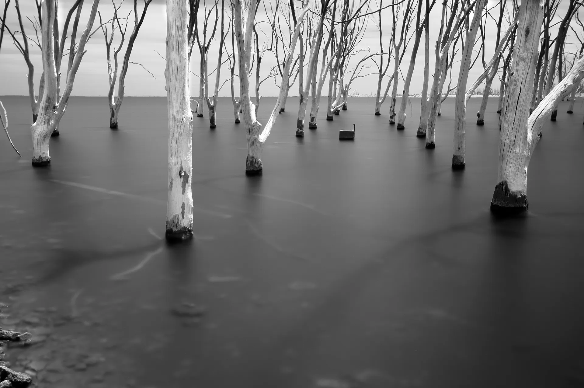 Villa Epecuén : la ville fantôme d’Argentine engloutie pendant 25 ans Villa Epecuen en noir et blanc par oystein Sture Aspelund 5 Villa-Epecuen-en-noir-et-blanc-par-oystein-Sture-Aspelund-5