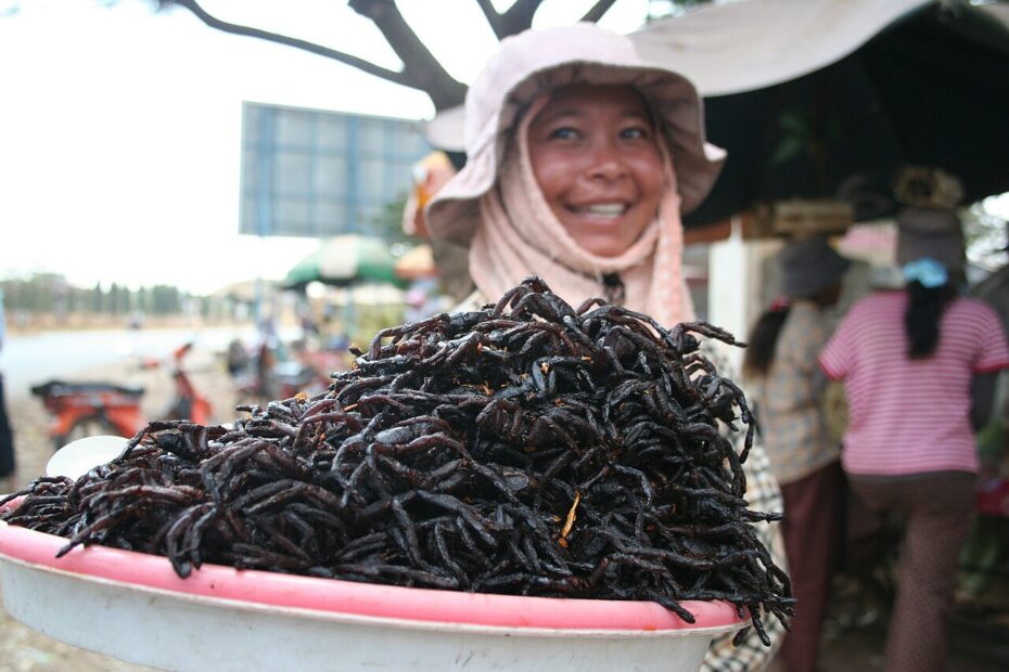 Araignées frites au Cambodge : les mygales de Skuon araignees frites cambodge 1 Araignées frites vendues au marché de Skuon au Cambodge