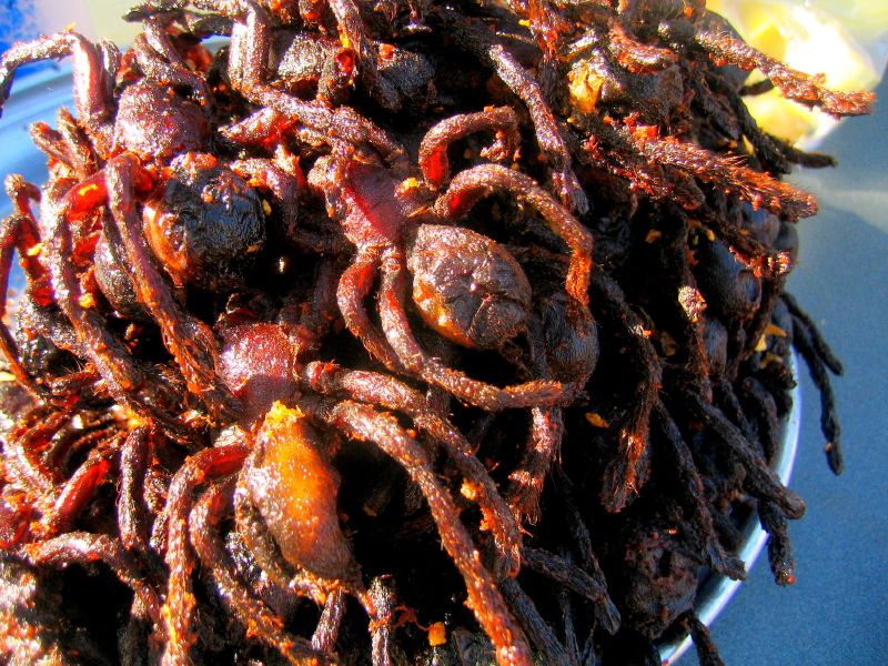 Araignées frites au Cambodge araignees frites cambodge 2 araignees-frites-cambodge-2