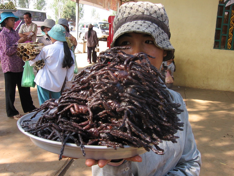 Araignées frites au Cambodge araignees frites cambodge 3 araignees-frites-cambodge-3