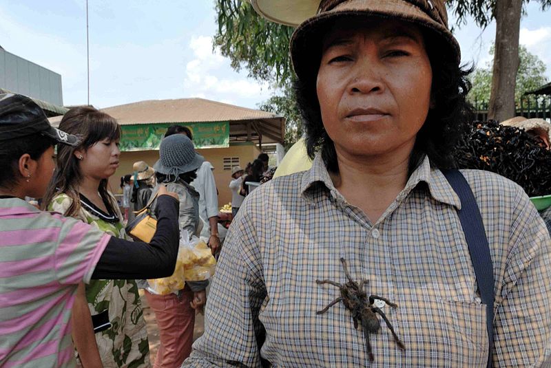 Araignées frites au Cambodge araignees frites cambodge 7 araignees-frites-cambodge-7