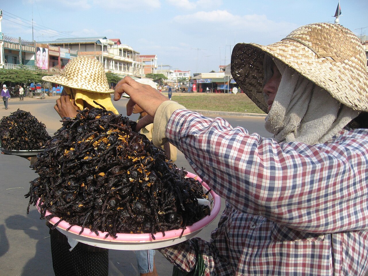 Tarentules ou mygales frites préparées à Skun au Cambodge Tarentules ou mygales frites préparées à Skun au Cambodge
