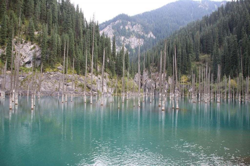 7 forêts insolites forets insolites lac kaindy forets-insolites-lac-kaindy