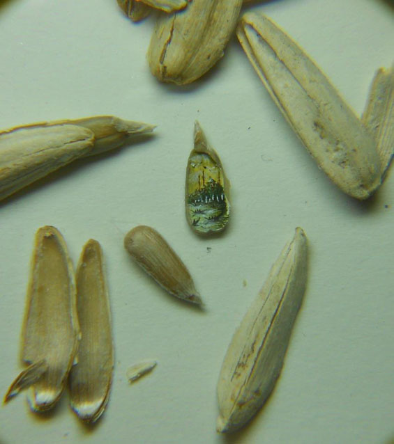 Micro-peinture par Hasan Kale micro peinture Hasan Kale 4 micro-peinture-Hasan-Kale-4