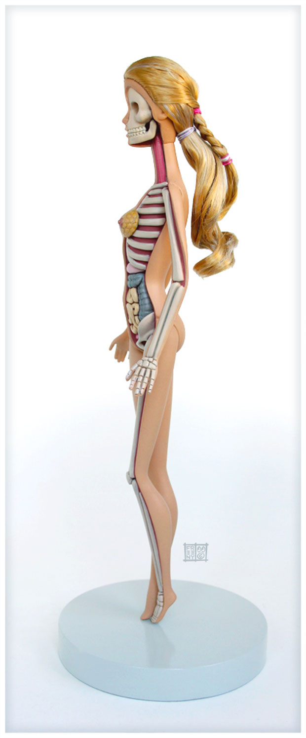 Squelette et anatomie des icônes pop culture squelette anatomie barbie 2 squelette-anatomie-barbie-2