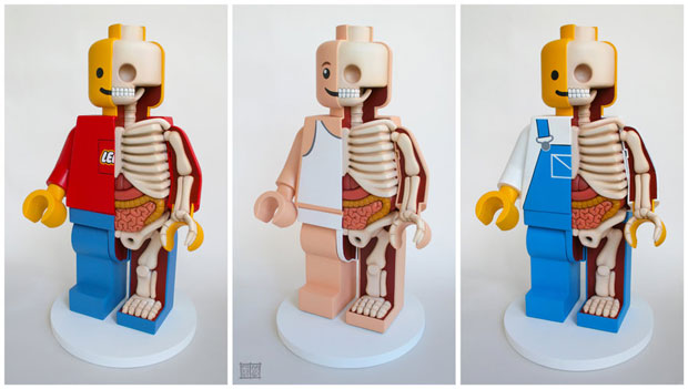 Squelette et anatomie des icônes pop culture squelette anatomie lego 1 squelette-anatomie-lego-1