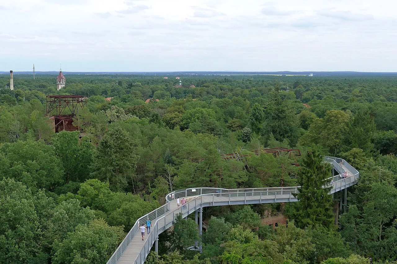 parcours dans les arbres au-dessus des ruines de Beelitz-Heilstätten parcours dans les arbres au-dessus des ruines de Beelitz-Heilstätten