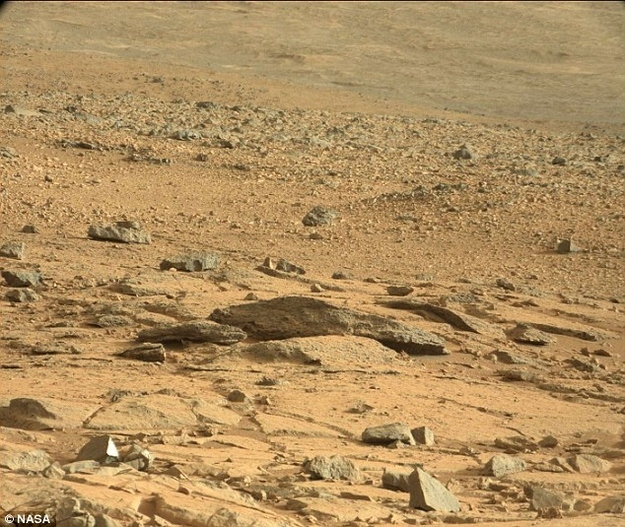 La découverte d'un lézard sur Mars un lezard sur mars photo nasa un-lezard-sur-mars-photo-nasa