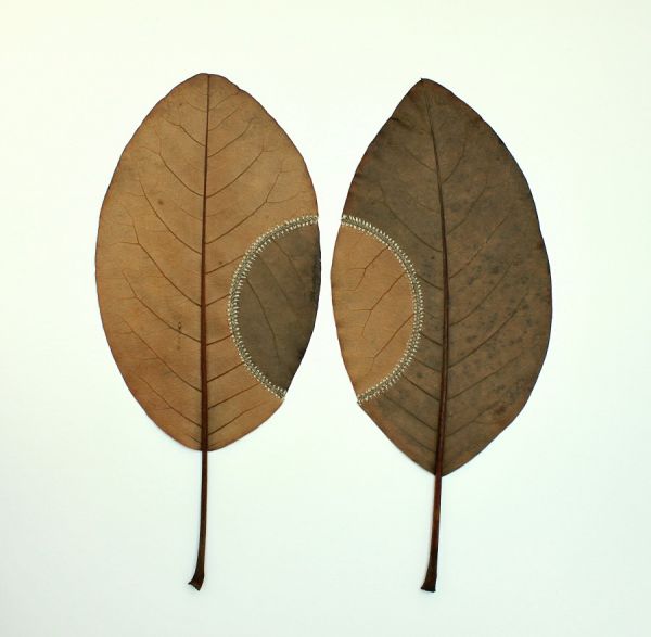 Des feuilles brodées par Susanna Bauer feuilles brodees susanna bauer 4 feuilles brodées susanna-bauer-4