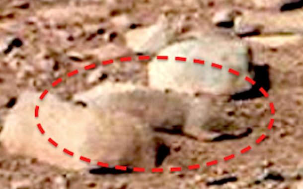 Un rat sur Mars rat sur mars 2 rat-sur-mars-2