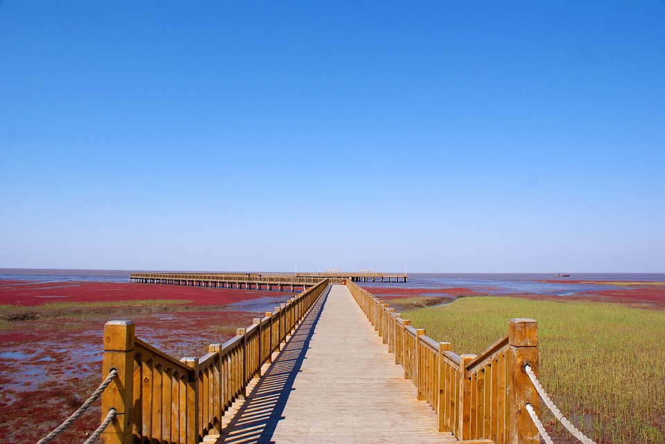 Une incroyable plage rouge en Chine plage rouge en chine 4 Red Green Line Fin Suaeda Symmetry Panjin Red Beach