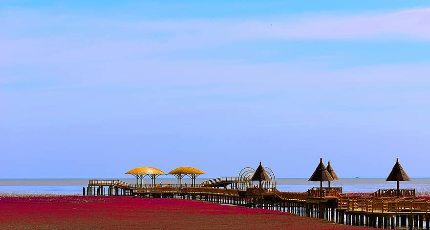 Une incroyable plage rouge en Chine plage rouge en chine 5 plage-rouge-en-chine-5