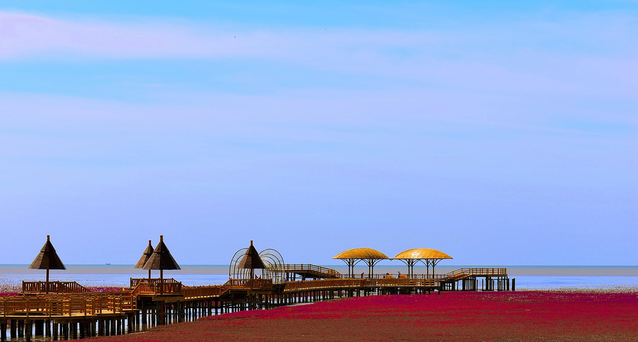Plage rouge de Panjin en Chine avec les passerelles traversant le marais de Suaeda salsa Plage rouge de Panjin en Chine avec les passerelles traversant le marais de Suaeda salsa