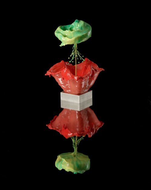 Des sculptures liquides de fleurs par Jack Long sculptures liquides de fleurs par jack long 7 sculptures-liquides-de-fleurs-par-jack-long-7