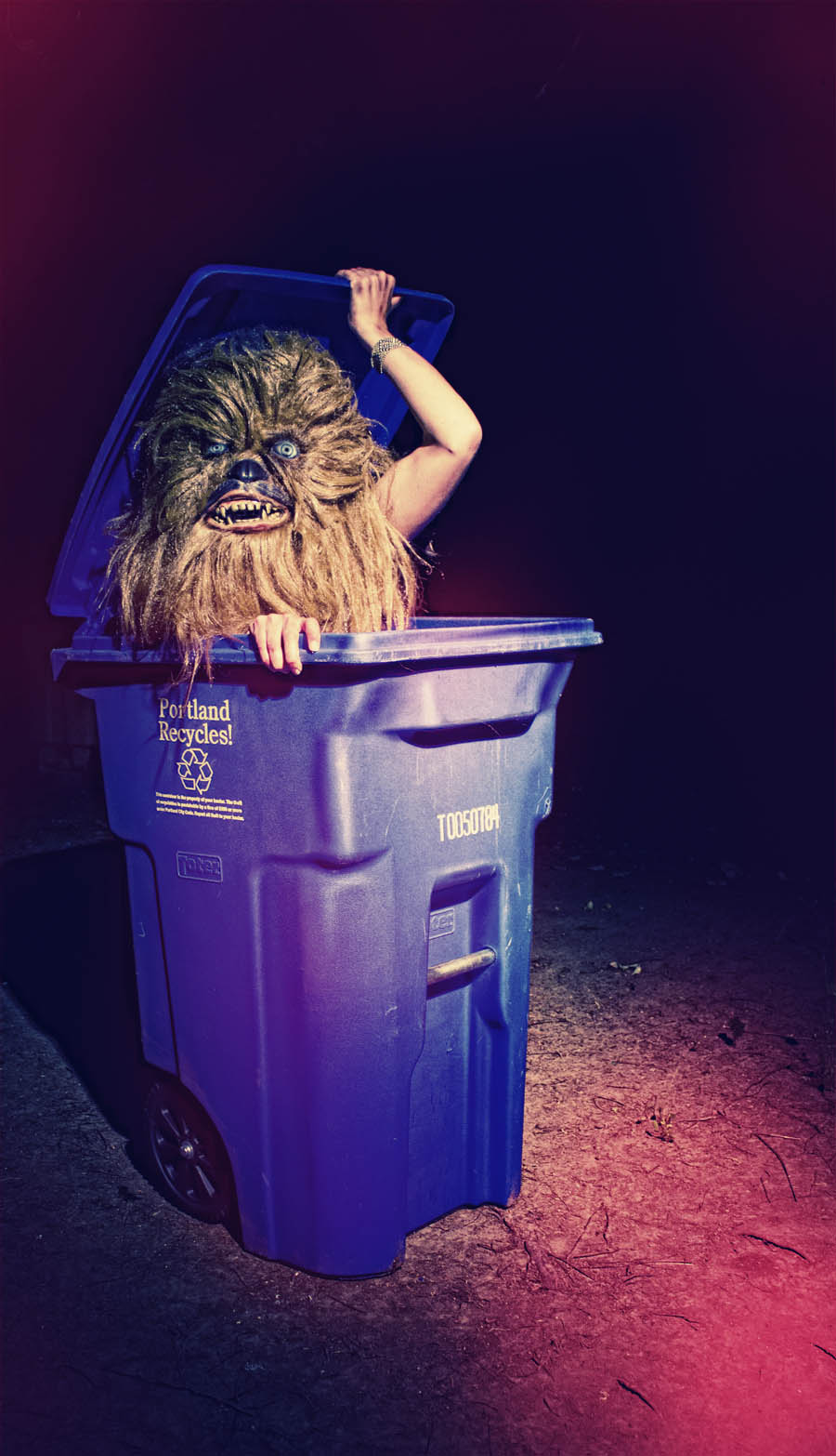 Les Wookies dans la vie réelle wookies dans la vie reelle 10 wookies-dans-la-vie-reelle-10