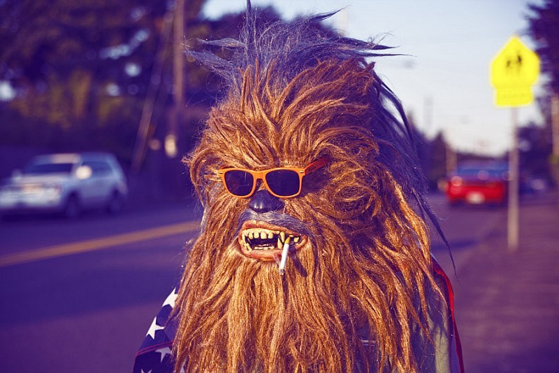 Les Wookies dans la vie réelle wookies dans la vie reelle 6 wookies-dans-la-vie-reelle-6