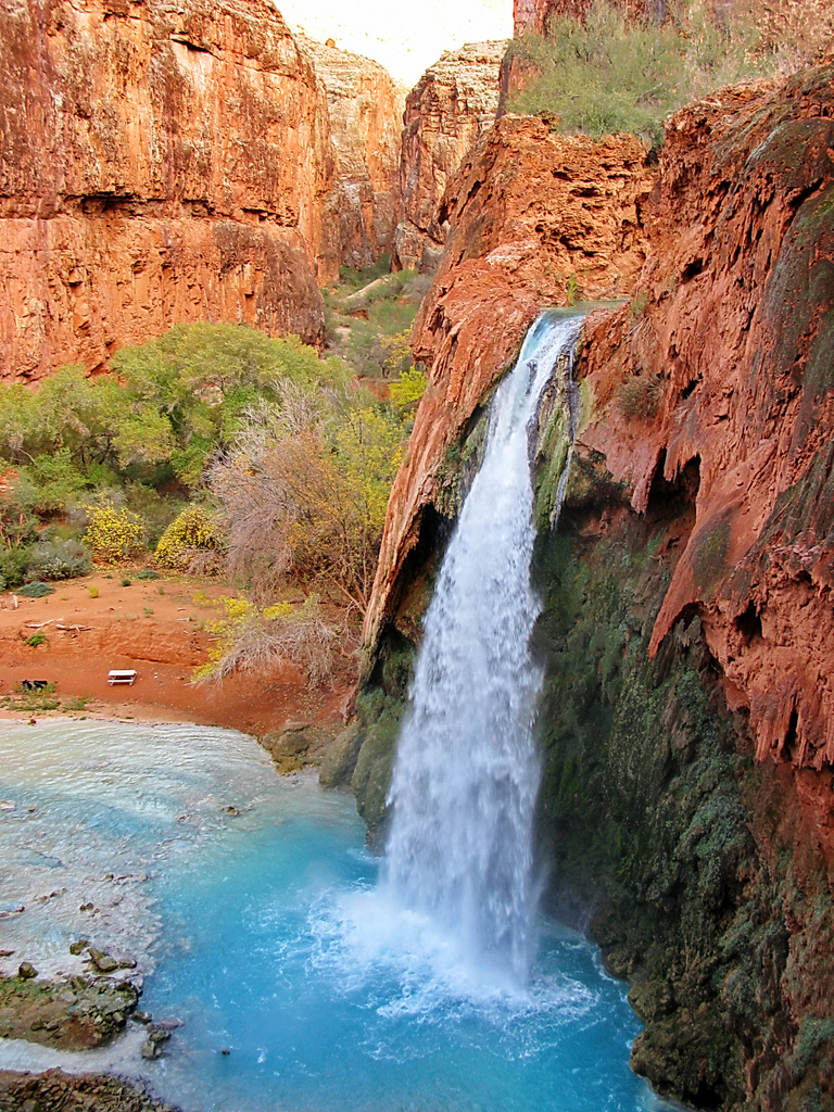 La cascade Havasu, une chute d'eau de 30 mètres dans le Grand Canyon cascade havasu chute deau de 30 metres grand canyon 5 cascade-havasu-chute-deau-de-30-metres-grand-canyon-5