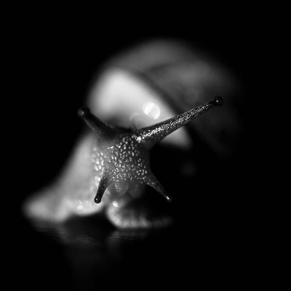 Quelques photos noir et blanc par Benoit Courti photos noir et blanc benoit courti 4 1 photos-noir-et-blanc-benoit-courti-4