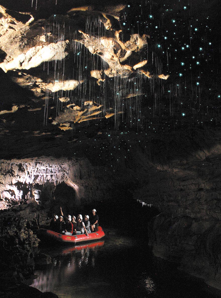 Des vers luisants créent un ciel étoilé fantastique dans une grotte des vers luisants ciel etoile grottes de waitomo 11 des-vers-luisants-ciel-etoile-grottes-de-waitomo-11