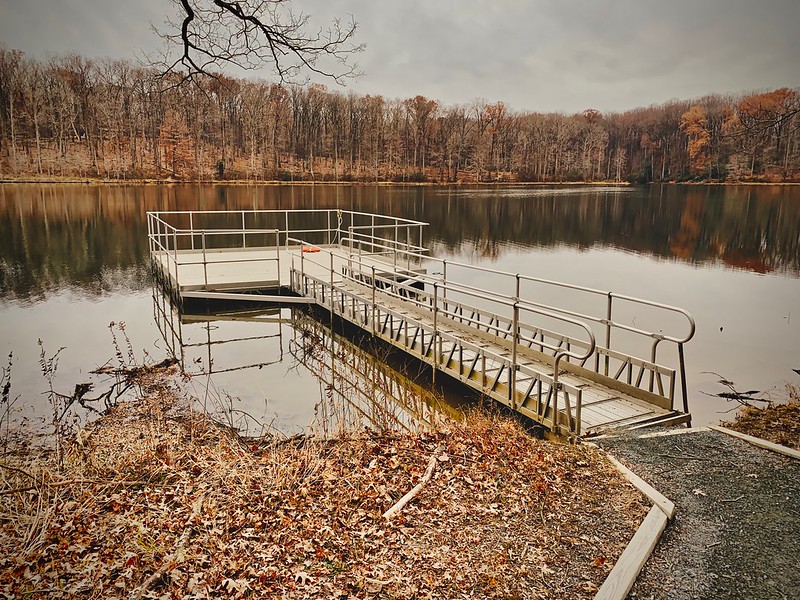 Les lieux réels de 5 films d'horreur lieux de tournage de films d horreur foret blair witch lieux-de-tournage-de-films-d-horreur-foret-blair-witch