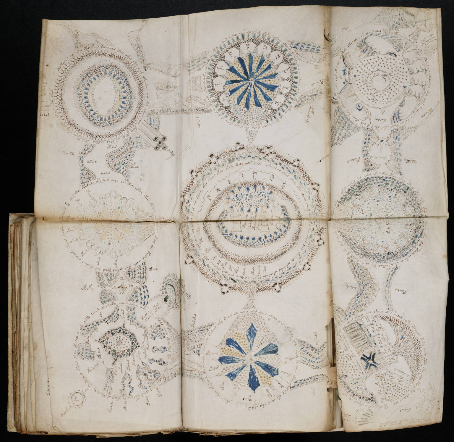 La page des rosettes du manuscrit de Voynich Page des rosettes du manuscrit de Voynich avec neuf grands diagrammes circulaires
