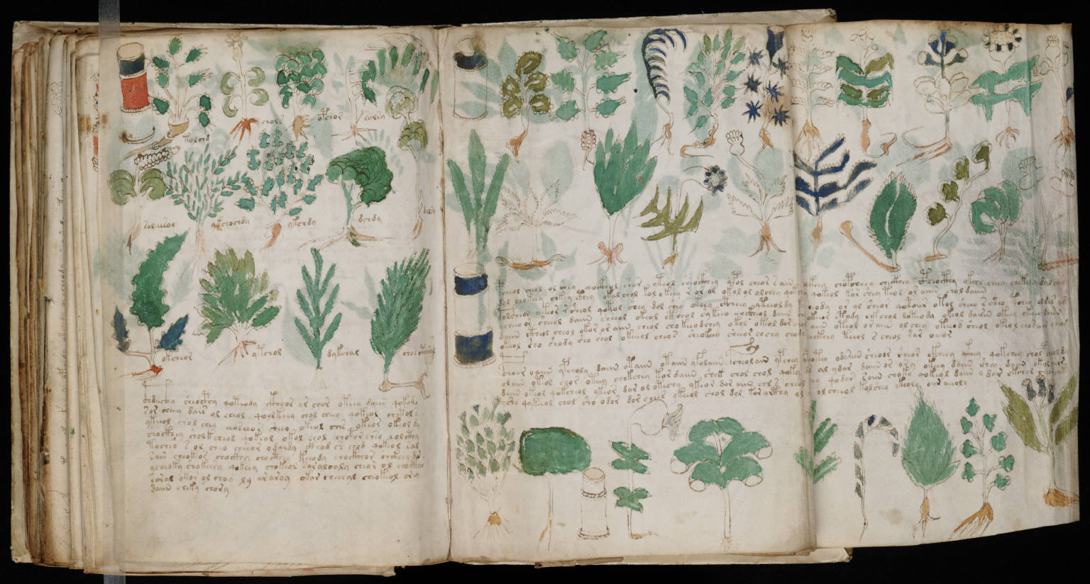 La section pharmaceutique du manuscrit de Voynich Grand dépliant du manuscrit de Voynich avec plantes racines texte et récipients pharmaceutiques
