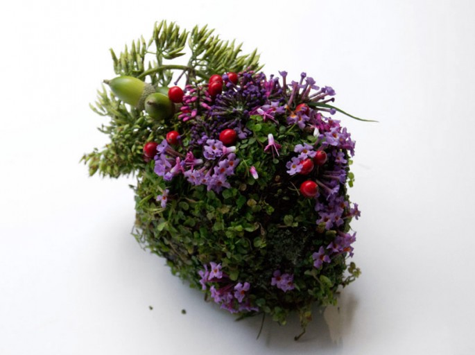 Sculptures d'organes humains en végétaux sculptures organes humains en vegetaux coeur sculptures-organes-humains-en-vegetaux-coeur