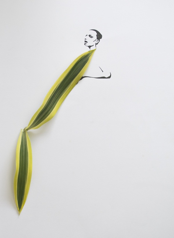 Des dessins à l'encre et feuilles de plantes dessins a l encre et feuilles de plante 6 dessins-a-l-encre-et-feuilles-de-plante-6