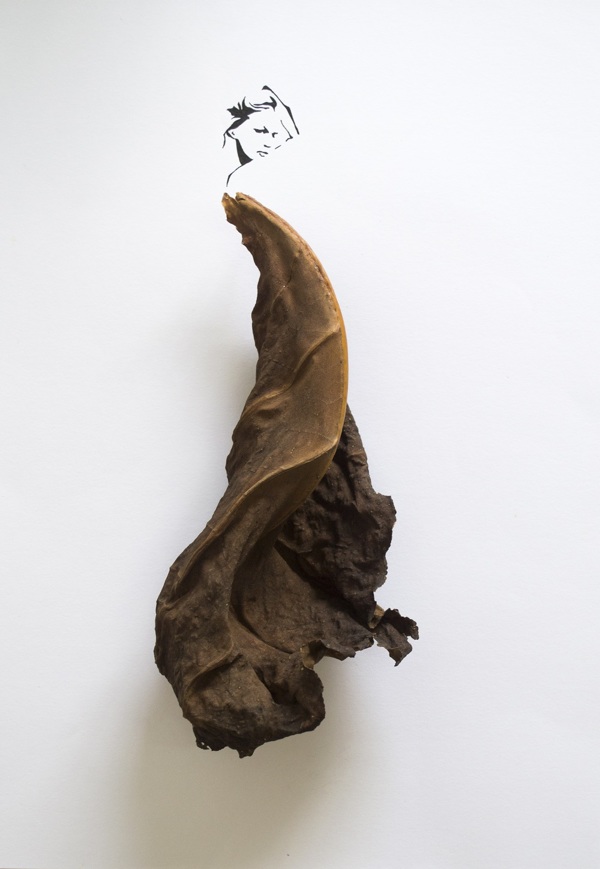 Des dessins à l'encre et feuilles de plantes dessins a l encre et feuilles de plante 7 dessins-a-l-encre-et-feuilles-de-plante-7