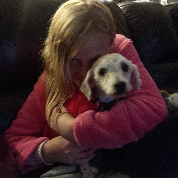 Shrek le chien abandonné des marais shrek le chien abandonne des marais 10 shrek-le-chien-abandonne-des-marais-10