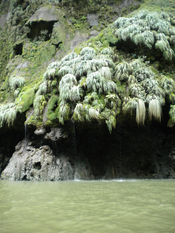 Arbol de Navidad - la cascade en forme de sapin de Noël Arbol de Navidad cascade en forme de sapin de noel 3 Arbol-de-Navidad-cascade-en-forme-de-sapin-de-noel-3