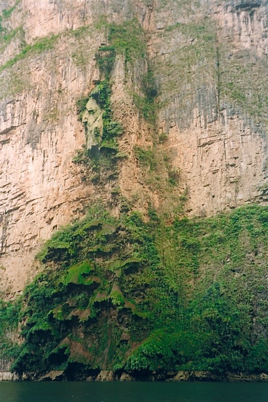 Arbol de Navidad - la cascade en forme de sapin de Noël Arbol de Navidad cascade en forme de sapin de noel 4 Arbol-de-Navidad-cascade-en-forme-de-sapin-de-noel-4