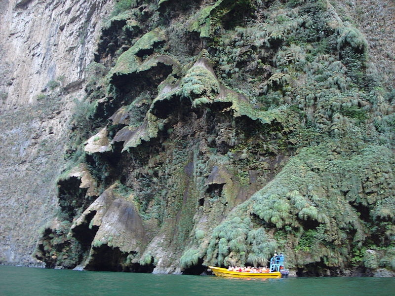 Arbol de Navidad - la cascade en forme de sapin de Noël Arbol de Navidad cascade en forme de sapin de noel 8 Arbol-de-Navidad-cascade-en-forme-de-sapin-de-noel-8