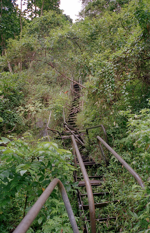 Les escaliers de Haiku Stairway to Heaven escaliers de haiku 10 Stairway-to-Heaven-escaliers-de-haiku-10