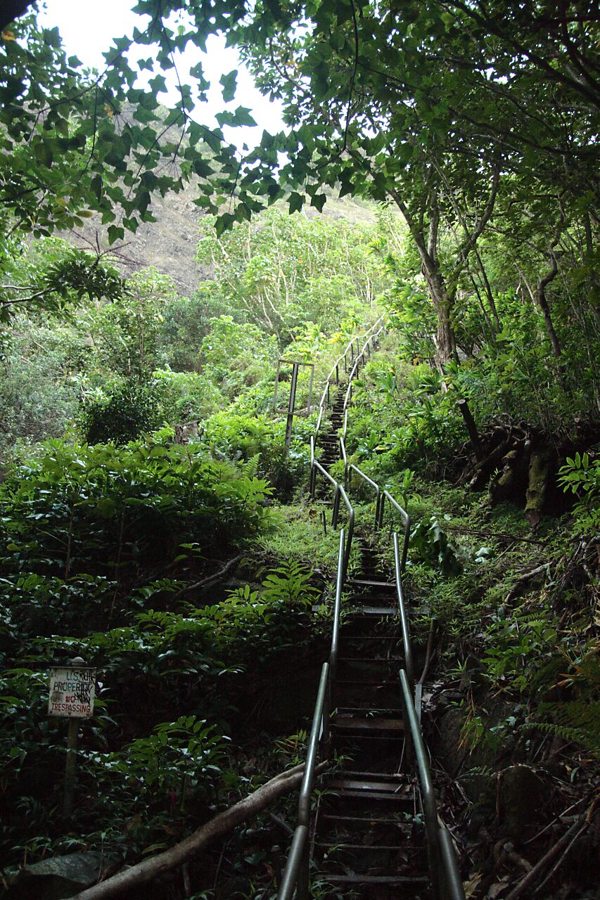 Stairway to Heaven escaliers de haiku stairs 1 Stairway to Heaven escaliers de haiku stairs 1