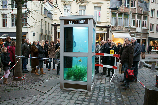 cabine téléphonique aquarium cabine telephonique aquarium 7 cabine-téléphonique-aquarium-7