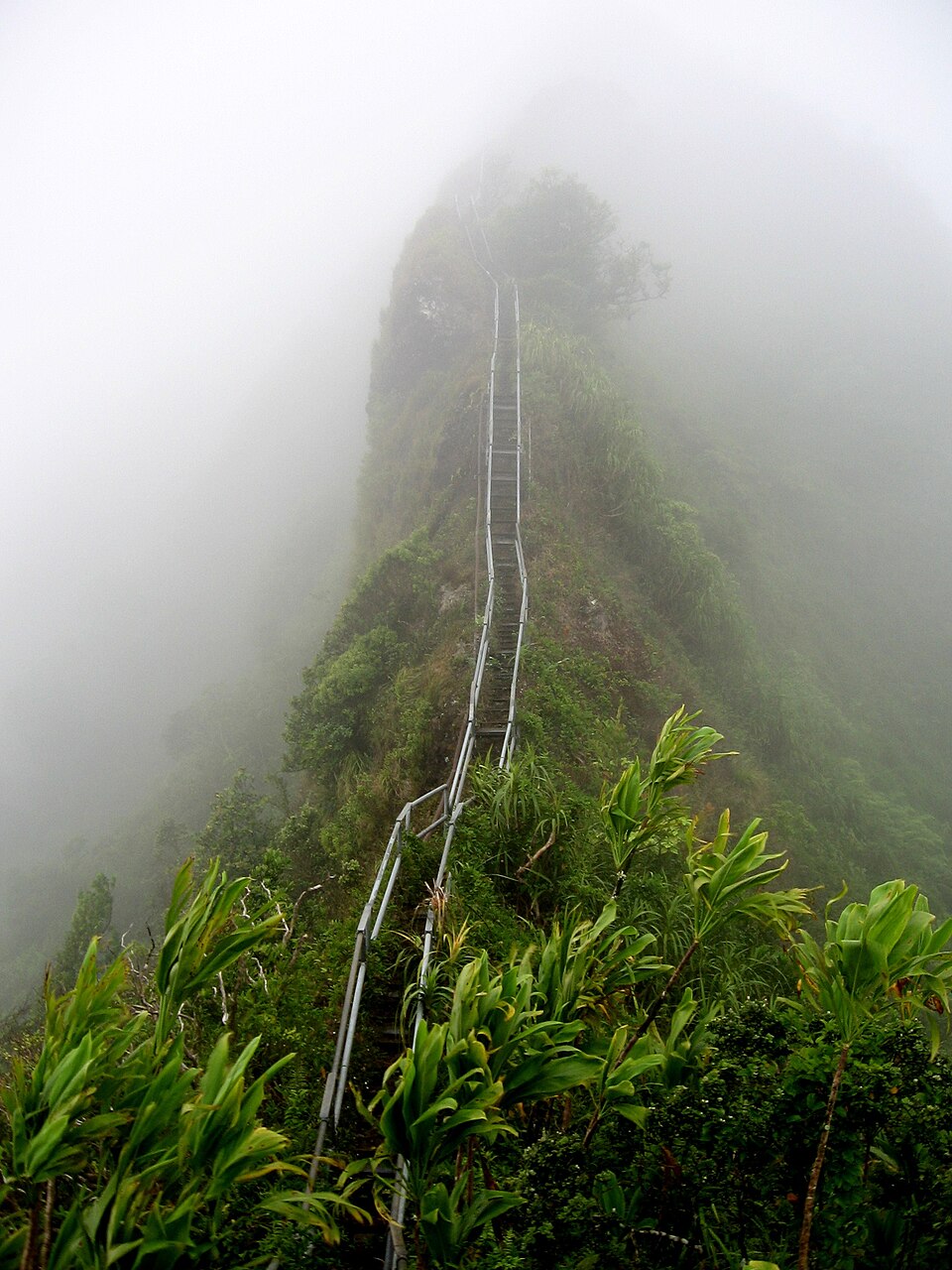 haiku stairs marches metalliques oahu Marches métalliques très raides des Haiku Stairs à Oahu