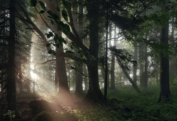 L'univers des frères Grimm en photo par Kilian Schoenberger L univers des freres Grimm en photo par Kilian Schoenberger 14 L univers des freres Grimm en photo par Kilian Schoenberger 14