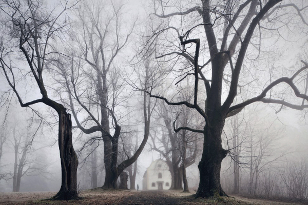 L'univers des frères Grimm en photo par Kilian Schoenberger L univers des freres Grimm en photo par Kilian Schoenberger 2 L univers des freres Grimm en photo par Kilian Schoenberger 2