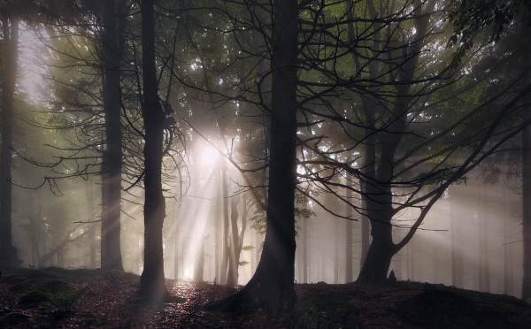 L'univers des frères Grimm en photo par Kilian Schoenberger L univers des freres Grimm en photo par Kilian Schoenberger 9 L univers des freres Grimm en photo par Kilian Schoenberger 9