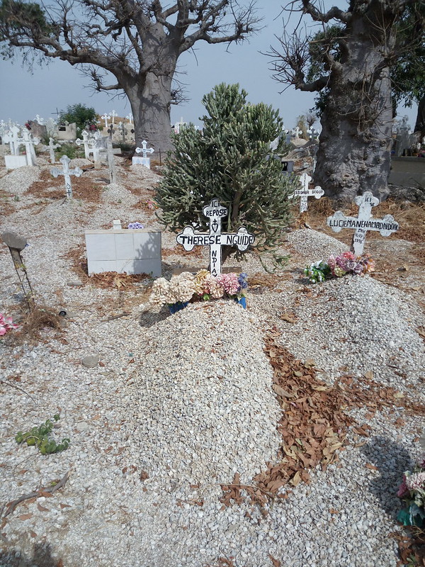 Fadiouth l'île faite de coquillages fadiouth ile faite de coquillages de palourde 6 fadiouth-ile-faite-de-coquillages-de-palourde-6