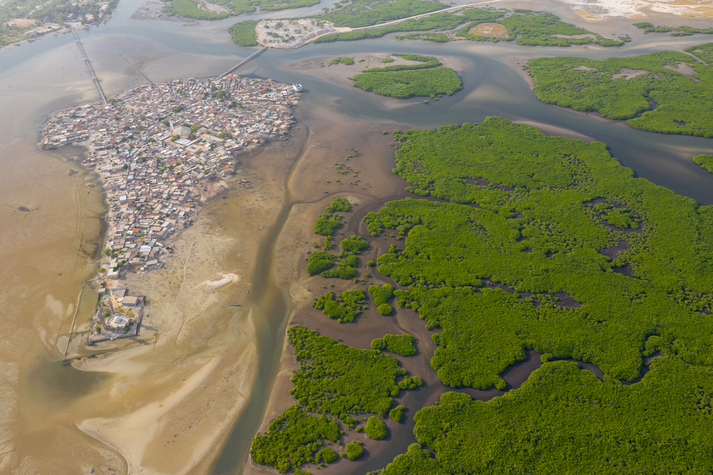 Fadiouth l'île faite de coquillages fadiouth ile faite de coquillages de palourde senegal 2 fadiouth-ile-faite-de-coquillages-de-palourde-senegal-2