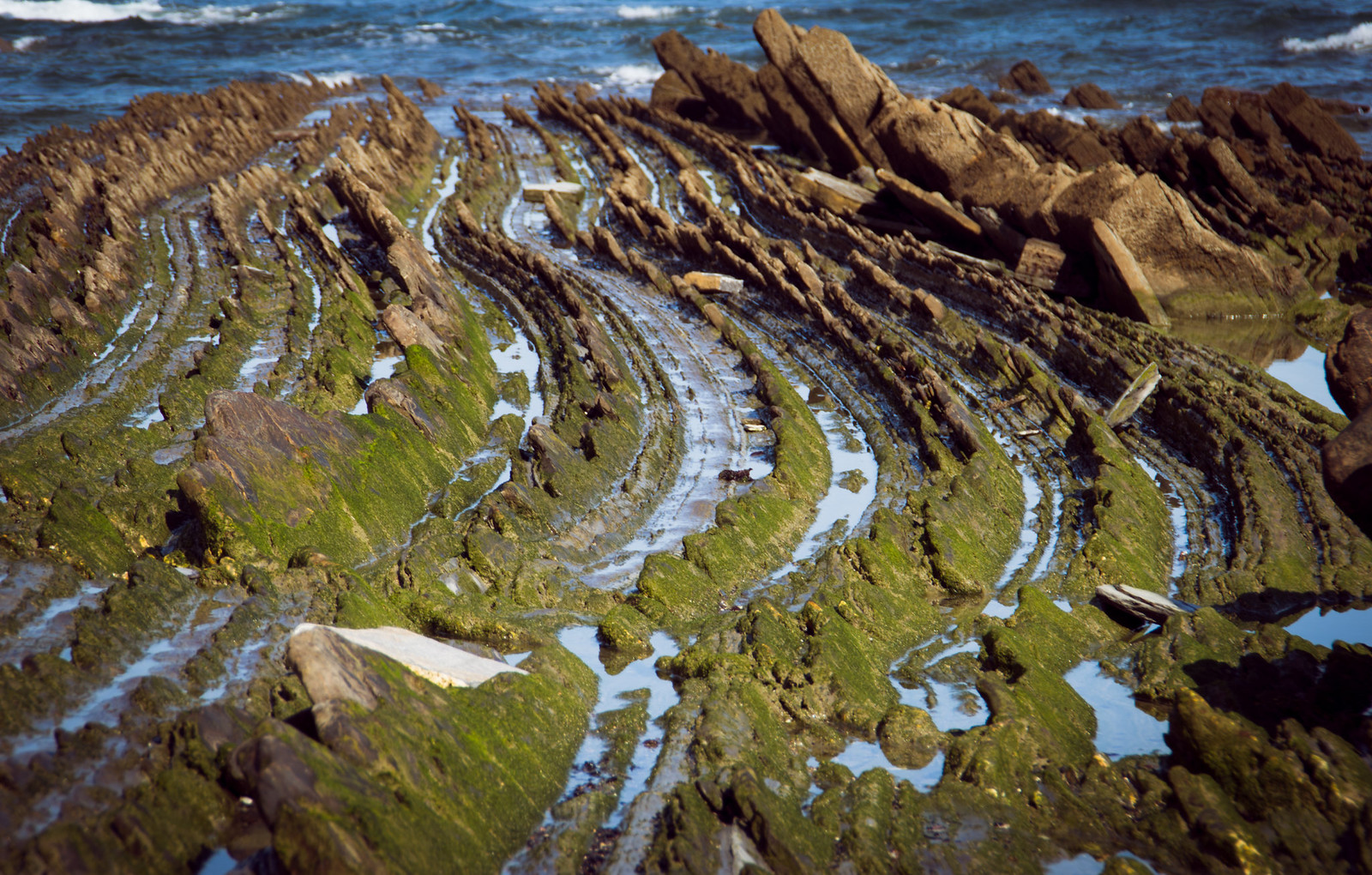 Strates du flysch sur le littoral de Zumaia Strates rocheuses inclinées du flysch de Zumaia sur la côte basque espagnole
