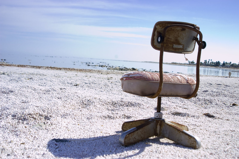 Salton Sea une plage de cadavres de poissons lac salton sea plage de cadavres de poissons 2 lac-salton-sea-plage-de-cadavres-de-poissons-2